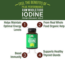 Load image into Gallery viewer, Raw Whole Food Iodine from Organic Kelp (Ascophyllum Nodosum) by Peak Performance. Thyroid Support Supplement. Great Metabolism Booster, Energy and Immune Boost - 60 Vegan Capsules
