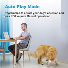 Load image into Gallery viewer, Wickedbone Smart Bone, Automatic & Interactive Toy for Dog, Puppy and Cat, App Control, Safe & Durable, Keep Your Pets Entertained All Day