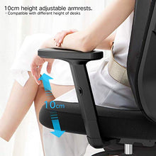 Load image into Gallery viewer, Hbada Ergonomic Office Desk Chair with Adjustable Armrest, Lumbar Support, Headrest and Breathable Skin-Friendly Mesh, Black
