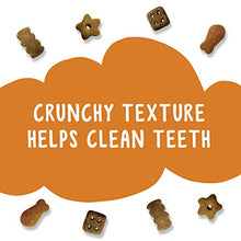 Load image into Gallery viewer, Purina Friskies Made in USA Cat Treats; Party Mix Chicken Lovers Crunch - 20 oz. Canister