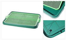 Load image into Gallery viewer, ANYPET Dog Puppy Cat Pet Potty Anypet Indoor Training Toilet, Green