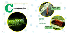 Load image into Gallery viewer, ABC Bug Book for Kids