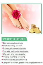 Load image into Gallery viewer, Foot Pads | Ginger Foot Pads for Your Good Feet | Foot and Body Care | Apply, Sleep & Feel Better | All Natural & Premium Ingredients for Best Combination & Results | 20 PCS