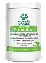 Load image into Gallery viewer, Doggie Dailies Probiotics for Dogs, 225 Soft Chews, Advanced Dog Probiotics with Prebiotics, Promotes Digestive Health, Supports Immune System and Overall Health (Pumpkin)