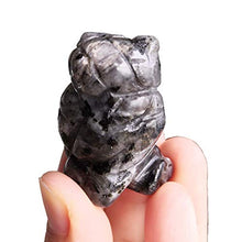 Load image into Gallery viewer, Gemgogo 2 Pcs Natural Black Labradorite Crystals and Healing Stones, Pocket Carved Owl Figurines Collectibles 1.5 Inches Room Decor Gemstone