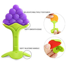 Load image into Gallery viewer, PandaEar Baby Training Massaging Toy Teether: 5-Pack Fruit Set & Nylon Loop | Soothes Gums Promotes Healthy Oral Development | Food Grade Soft Safe BPA-Free Silicone | Babies Toddlers Infants