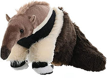 Load image into Gallery viewer, Wild Republic Anteater Plush, Stuffed Animal, Plush Toy, Gifts for Kids, Cuddlekins 12 Inches