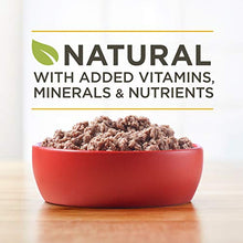Load image into Gallery viewer, Purina ONE Grain Free, Natural Pate Wet Dog Food, SmartBlend True Instinct With Real Turkey & Venison - (12) 13 oz. Cans