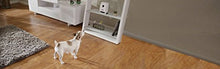 Load image into Gallery viewer, Petzi Treat Cam: Wi-Fi Pet Camera & Treat Dispenser, Enabled with Amazon Dash Replenishment