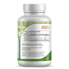 Load image into Gallery viewer, Zahler SynerG, Advanced Glucosamine Sulfate Joint Supplement with MSM, Builds Healthy Joint Cartilage, Certified Kosher, 120 Capsules
