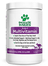 Load image into Gallery viewer, Doggie Dailies 5 in 1 Multivitamin for Dogs, 225 Soft Chews, Dog Multivitamin for Skin and Coat Health, Joint Health, Improved Digestion, Antioxidants, Support a Healthy Immune System