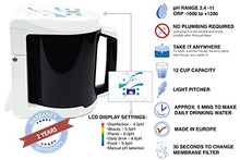 Load image into Gallery viewer, WaterAg | 3 in 1 Water Ionizer | Alkaline Water Machine Pitcher PH 2.4-11, up to -1000mV ORP | Colloidal Silver Generator Kit 0-20 PPM, Silver Rods 9999 Pure | Acidic Water