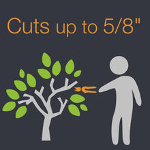 Load image into Gallery viewer, Fiskars Gardening Tools: Bypass Pruning Shears, Sharp Precision-ground Steel Blade, 5.5” Plant Clippers (91095935J)