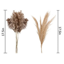Load image into Gallery viewer, Dried Pampas Grass Decor - 40 Pcs Natural Pompas Floral/ Dried Pompous Grass Boho Plant for Flower Arrangements Wedding Home Decor(30 Pcs Brown Pampas Grass & 10 Pcs Beige Pampas Grass)