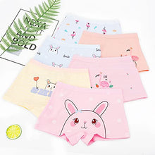 Load image into Gallery viewer, BOOPH Girls Underwear Panties Cotton Kids Boyshort 5-7 Years 6 Pack Rabbit