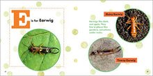 Load image into Gallery viewer, ABC Bug Book for Kids