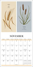 Load image into Gallery viewer, Floriography 2022 Wall Calendar: Secret Meaning of Flowers