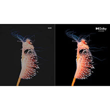 Load image into Gallery viewer, VIZIO 65-Inch M6 Series Premium 4K UHD Quantum Color LED HDR Smart TV with Apple AirPlay and Chromecast Built-in, Dolby Vision, HDR10+, HDMI 2.1, Variable Refresh Rate, M65Q6-J09, 2021 Model