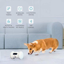 Load image into Gallery viewer, VARRAM Pet Fitness Robot: Interactive Treat Dispenser and Companion Robot for Dogs & Cats, Schedule Automatic Play, Activity Monitoring, Treat Tossing, Manual Play via App