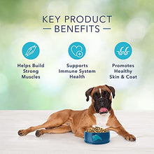 Load image into Gallery viewer, Blue Buffalo Freedom Grain Free Natural Adult Dry Dog Food, Chicken 24-lb