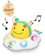 Load image into Gallery viewer, Skip Hop Developmental Learning Crawl Toy, Explore & More 3-Stage Follow-Me, Bee