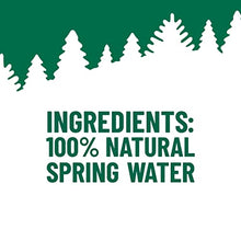 Load image into Gallery viewer, ORIGIN, 100% Natural Spring Water, 900 mL, Recycled Plastic Bottle, 12 Pack