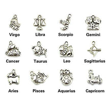 Load image into Gallery viewer, JIALEEY Wholesale Bulk Lots Jewelry Making Silver Zodiac Sign Charms Smooth Tibetan Silver Metal Horoscope Charms Pendants DIY for Necklace Bracelet Jewelry Making and Crafting, 9 Sets 108 PCS