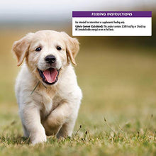 Load image into Gallery viewer, Wellness Puppy Bites Natural Grain Free Crunchy Puppy Treats, Chicken & Carrots Recipe, 6-Ounce Bag