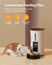 Load image into Gallery viewer, Petory Timed Automatic Cat Feeder - 4L Programable Dry Food Dispenser for Cats and Small Medium Dogs 6 Meals with Desiccant Bag Dual Power Supply 10S Voice Recorder