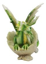 Load image into Gallery viewer, Ebros August Birthstone Dragon Egg Statue 5.25" Tall Green Peridot August Birthstone Gem Symbol Hatchling Dragon Collector Figurine