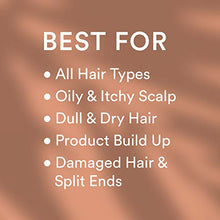Load image into Gallery viewer, WOW Apple Cider Vinegar Shampoo & Hair Conditioner Set - (2 x 16.9 Fl Oz / 500mL) - Increase Gloss, Hydration, Shine - Reduce Itchy Scalp, Dandruff & Frizz - No Parabens or Sulfates - All Hair Types
