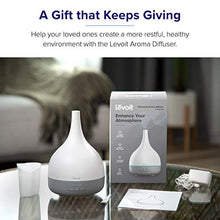 Load image into Gallery viewer, LEVOIT Essential Oil Diffuser, Aromatherapy Diffuser for Essential Oils, Cool Mist Humidifier,300ml Aroma Diffuser with 7 Color Lights & Timer, Auto Shut-off, BPA Free for Home Office Bedroom