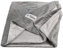 Load image into Gallery viewer, PetFusion Premium Dog Blanket, Cat Blanket | Ultra Soft Pet Blanket Available in Plush or Quilted, 2 Colors (Grey, Brown) | Perfect Blanket for Small Dogs & Large Dogs. 12 Month Warranty