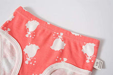 Load image into Gallery viewer, Cadidi Dinos Girls' 100% Cotton Panties Big Girls Soft Underwears Kids Briefs (Pack of 6) Size 12