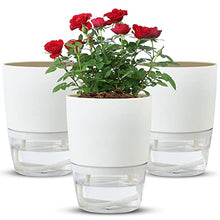 Load image into Gallery viewer, Self Watering Planters Pot - 4.1 Inch 3 Pack Plastic Bottom Watering Plant Pot with Drainage Holes Saucers Reservoirs and Wick Rope - Decorative Flower Pots for Indoor Outdoor House Plants, Flowers