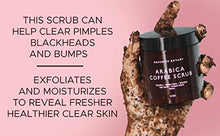 Load image into Gallery viewer, Brooklyn Botany Arabica Coffee Body Scrub - Moisturizing and Exfoliating Body, Face, Hand, Foot Scrub - Fights Stretch Marks, Fine Lines, Wrinkles - Great Gifts for Women & Men - 1.35lb