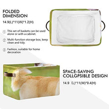 Load image into Gallery viewer, WIEDLKL Rectangular Organizer Bins Dogs Play with Soap Bubbles Outdoors in Summer Pantry Organization and Storage Containers with Strong Pu Leather Handle Waterproof Storage Box for Clothe