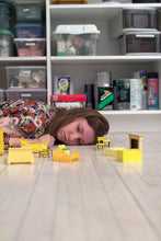 Load image into Gallery viewer, Tiny Furniture (Criterion Collection)