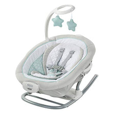 Load image into Gallery viewer, Graco Duet Glide Gliding Swing with Portable Rocker, Winfield