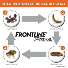 Load image into Gallery viewer, Frontline Plus Flea and Tick Treatment for Dogs (Small Dog, 5-22 Pounds, 3 Doses)