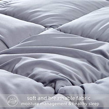 Load image into Gallery viewer, Brermer All Season Queen Soft Quilted Down Alternative Comforter, Hotel Collection Reversible Duvet Insert with 8 Corner Tabs, Winter Warm Fluffy Lightweight, 88x88 inches Grey/White Stripe