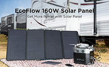 Load image into Gallery viewer, EF ECOFLOW 160 Watt Portable Solar Panel for Power Station, Foldable Solar Charger with Adjustable Kickstand, Waterproof IP67 for Outdoor Camping RV Off Grid System