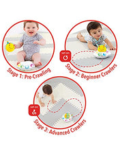 Load image into Gallery viewer, Skip Hop Developmental Learning Crawl Toy, Explore & More 3-Stage Follow-Me, Bee