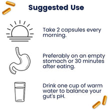 Load image into Gallery viewer, Original Provitalize | Natural Menopause Probiotics for Weight Gain, Hot Flashes, Night Sweats, Low Energy, Mood Swings, Gut Health. Unique Probiotics Formula