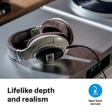 Load image into Gallery viewer, SENNHEISER HD 599 Open Back Headphone, Ivory