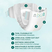 Load image into Gallery viewer, Amazon Brand - Mama Bear Gentle Touch Diapers, Hypoallergenic, Newborn, 120 Count (4 packs of 30)
