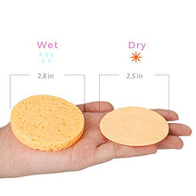 Load image into Gallery viewer, 50-Count Compressed Facial Sponges, GAINWELL Cellulose Facial Sponges, 100% Natural Cosmetic Spa Sponges for Facial Cleansing, Exfoliating Mask, Makeup Removal
