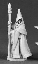 Load image into Gallery viewer, Anirion, Wood Elf Wizard