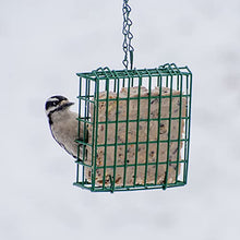 Load image into Gallery viewer, C&S Wild Bird EZ Fill Suet Basket, Green