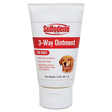 Load image into Gallery viewer, Sulfodene Wound Care Ointment 2 ounce